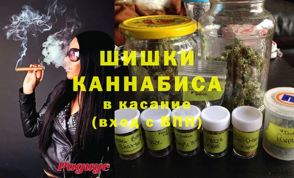 гашик Балахна