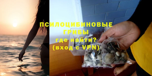 гашик Балахна