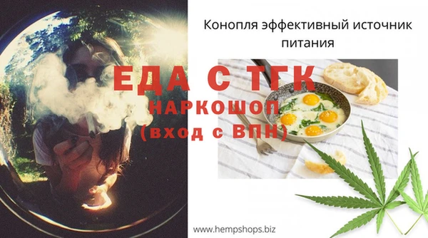 гашик Балахна