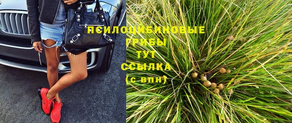 гашик Балахна