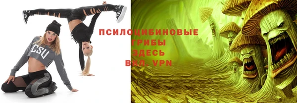 гашик Балахна