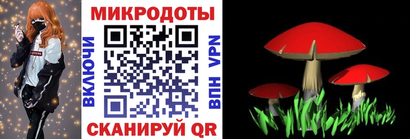 Псилоцибиновые грибы прущие грибы  Кушва 