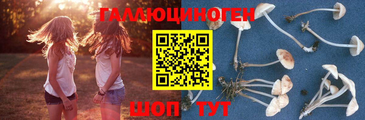 Псилоцибиновые грибы Psilocybe Кушва